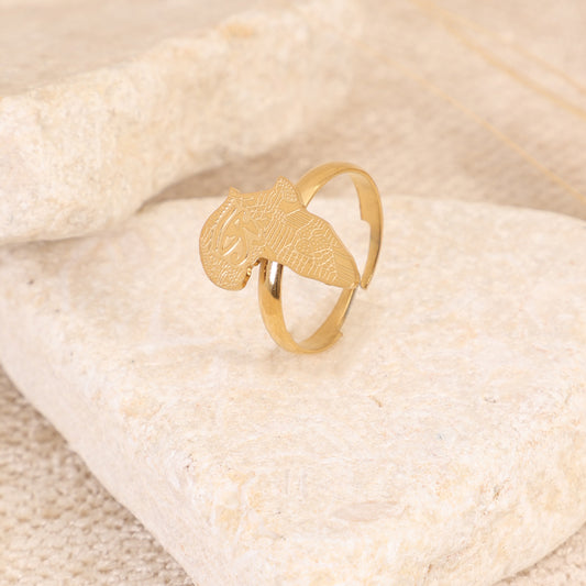 Africa Continent Map Ring